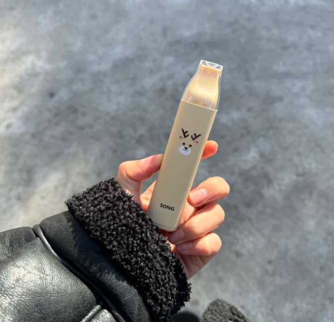 song崧条a06真实测评：价格、口味、续航全解析