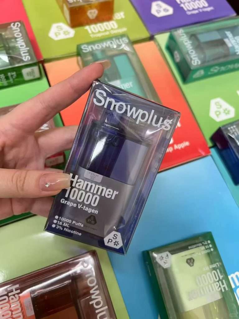 SnowPlus大板砖多少钱？价格介绍与性价比分析