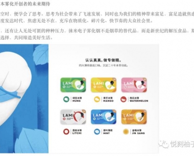 徕米电子烟到底怎么样?徕米LAMI电子烟评测!