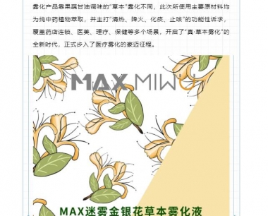 监管过渡期:电子烟转型医疗雾化,但MAX迷雾路子有点野